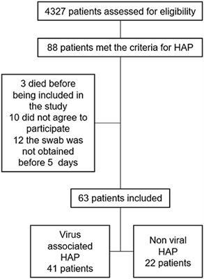 Frontiers | Healthcare-Associated Pneumonia: Don't Forget About ...